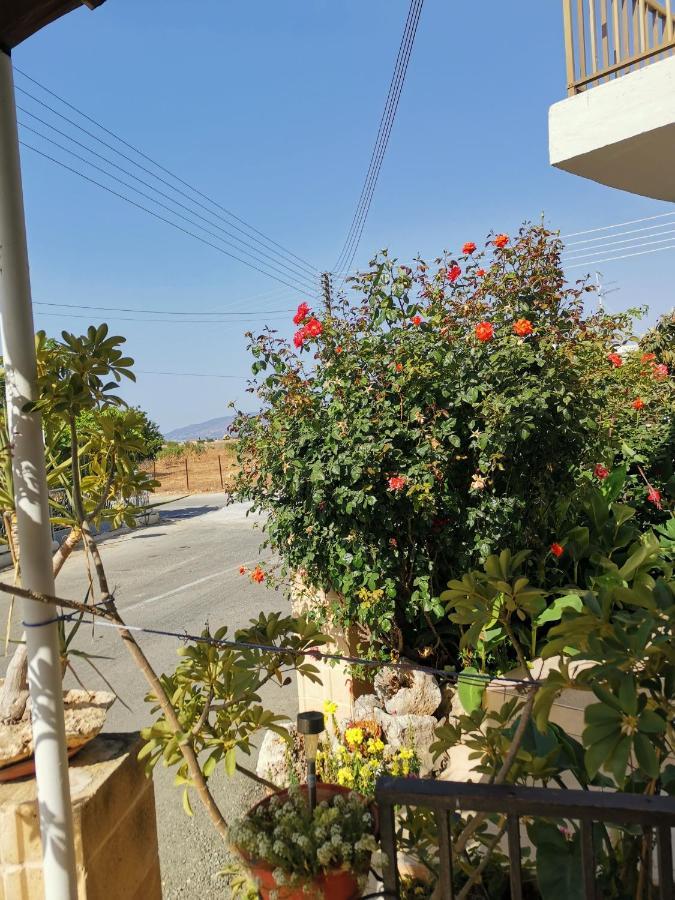 Hamboula Apartment Polis Bagian luar foto
