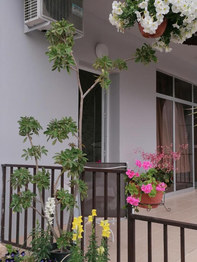 Hamboula Apartment Polis Bagian luar foto